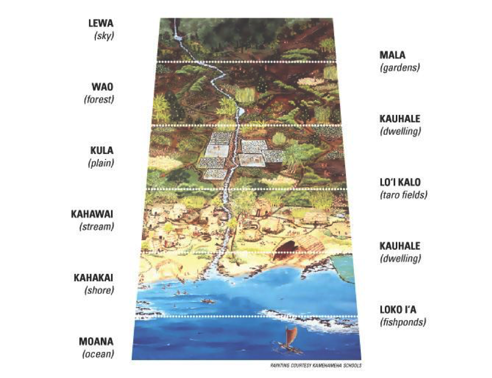 Hawaii land management